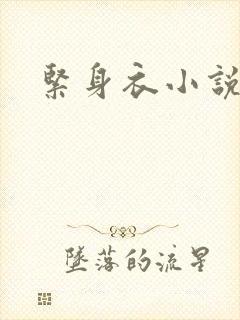 紧身衣小说