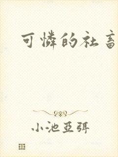 可怜的社畜小说封面