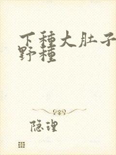 下种大肚子怀孕野种