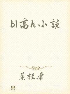 bl高h小说