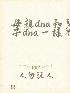 母亲dna和儿子dna一样不