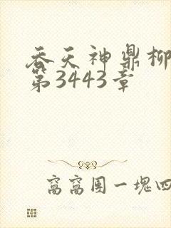 吞天神鼎柳无邪第3443章