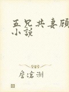 五兄共妻顾心儿小说