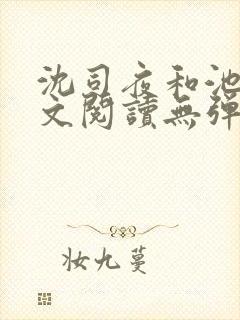 沈司夜和池茵全文阅读无弹窗笔趣阁