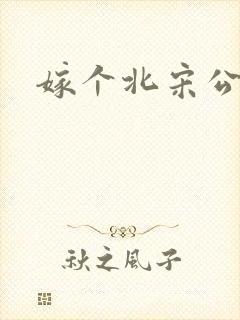 嫁个北宋公务员