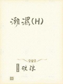 潮湿(H)