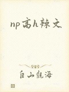 np高h辣文