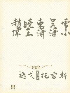 赵晓东吴雪晴郑伟王潇潇小说