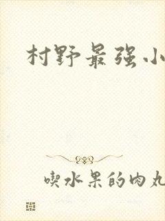 村野最强小农民