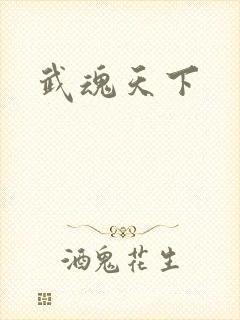 武魂天下