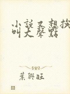 小说又想挨C了叫大声点