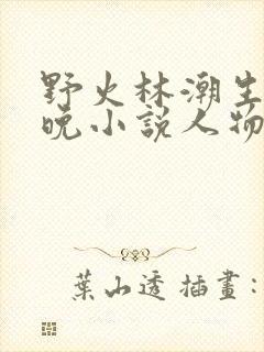 野火林潮生林晚晚小说人物野火