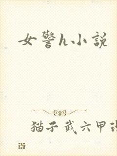 女警h小说