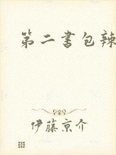 第二书包辣文