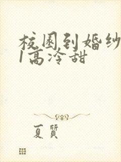 校园到婚纱1V1高冷甜