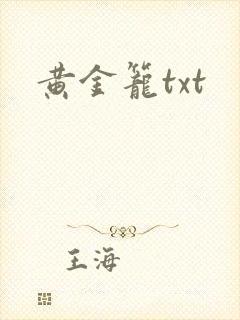 黄金笼txt