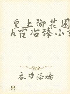 皇上御花园hlh霍冶臻小说