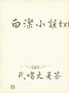 白洁小说txt封面