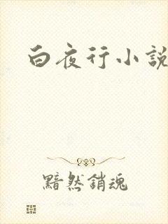 白夜行小说下载