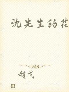 沈先生的花式调