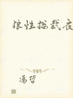 狼性总裁夜欢宠