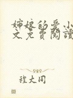 婶娘的爱小说全文免费阅读