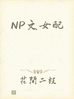 NP文女配