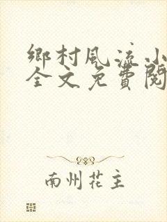 乡村风流小傻子全文免费阅读封面