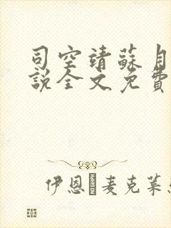 司空靖苏月汐小说全文免费阅读