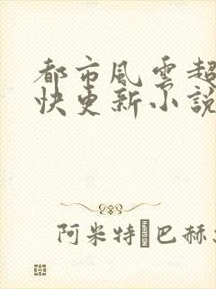 都市风云超前超快更新小说