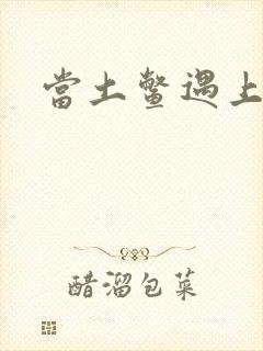 当土鳖遇上海龟