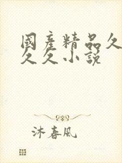 国产精品久久久久久小说封面