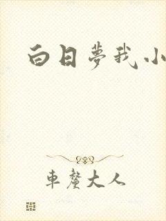 白日梦我小说