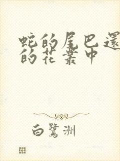 蛇的尾巴还在我的花丛中