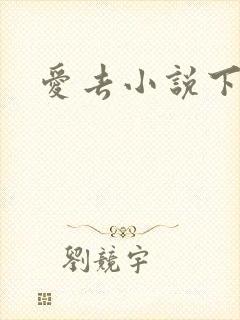 爱去小说下载网