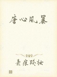 唐心风暴封面