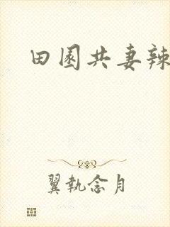 田园共妻辣