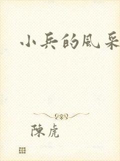 小兵的风采封面