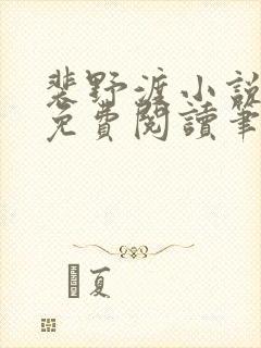 裴野渡小说全文免费阅读笔趣阁封面