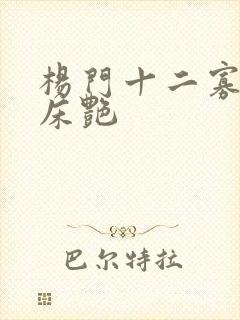 杨门十二寡妇肉床艳