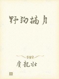 野狗摘月封面