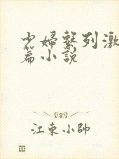 少妇系列激情短篇小说