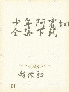 少年阿宾txt全集下载