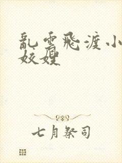 乱云飞渡小说之姣嫂