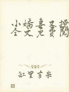 小娇妻又撩又甜全文免费阅读