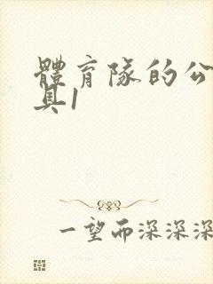 体育队的公用玩具1封面