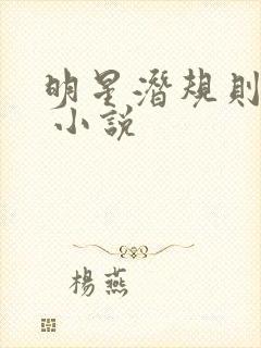 明星潜规则之皇 小说