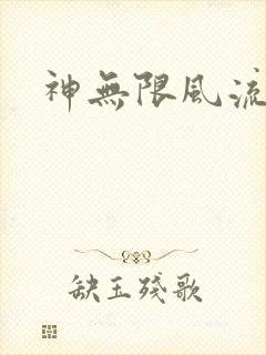 神无限风流封面