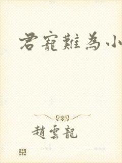 君宠难为小说封面