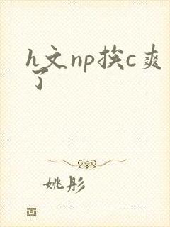 h文np挨c爽了